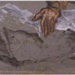 Ahtapot potensial partnyorlarını hiss etmək üçün “toxunuşla dad” duyğu sistemindən necə istifadə edir