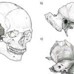 Doktorant yüksək entropiyalı ərintilərdə davamlı problemi həll edir