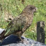 Kainatın riyazi “forması” kosmoloji sabit problemini həll edə bilərmi?