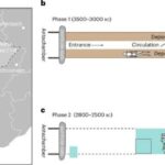 Süni intellekt bakteriyaların daxilində gizli immun müdafiəsini aşkar edir