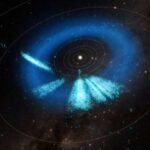 Bu kiçik orqanizm sadəcə küncləri sevir, dünyasını hiss etmək üçün həndəsədən istifadə edir