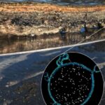 Karbon nanotube lifli sensorlar rekord ölçmə xətasını 0,1%-dən aşağı səviyyəyə çatdırıb