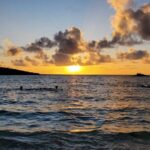 İqlim dəyişikliyi “fast food” fitoplanktonuna səbəb ola bilər