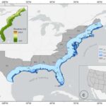 Qədim Roma tualetlərindən çıxarılan bu qabıqlı qalıqlar, gözləniləndən daha əvvəl aşkar edilmiş patogeni ifşa edir