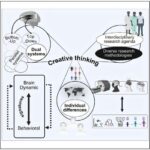 İmmunitet “siqnal iki”sinin bloklanması bağırsaq tolerantlığı hüceyrələrini genişləndirir və yeni IBD müalicələrinə səbəb ola bilər