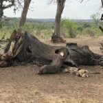 Araşdırmalar göstərir ki, söhbətlər zamanı uyğunlaşma vəziyyətdən çox asılıdır
