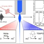 Asqarddan Yerə: Kiçik borular mürəkkəb həyatın başladığı anı göstərə bilər