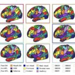Davamlı aktuator kosmosa hazır yumşaq robotlar üçün potensial göstərir