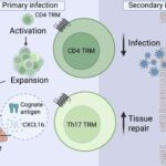 Kiçik bir diod yaddaş və emal əlavə etməklə görüntü sensorlarını kiçildə bilər