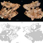 Əvvəlcə nəhəng bir qara dəlik peyda oldu, sonra onun qalaktikası ətrafında böyüməyə başladı
