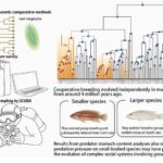 İkiqat öz-özünə yığılma şəbəkəsi: 3D çap edilə bilən hidrogellərdə yeni bir fəsil