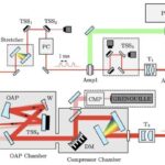 Meymunlar virtual meşədə yalnız düşüncə ilə gəzirlər və beyin-kompüter interfeyslərini laboratoriyadan kənara çıxarırlar