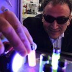 Sağsağanların sosial həyatı onların zəng repertuarını necə formalaşdırır