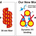 Karbon nanotube lifli sensorlar rekord ölçmə xətasını 0,1%-dən aşağı səviyyəyə çatdırıb