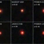 Meymunlar virtual meşədə yalnız düşüncə ilə gəzirlər və beyin-kompüter interfeyslərini laboratoriyadan kənara çıxarırlar