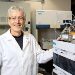 Bu, psixodeliklər haqqında beyninizin işidir: Neyrogörüntüləmə tədqiqatı kortikal şəbəkə təsirlərinə işıq salır