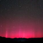 Şimpanze imperiyası nadir hallarda baş verən bölünmə və ölümcül zorakılıq nəticəsində dağılır