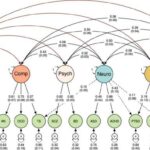 Göbələk “veziküllü avtostop”a istiqamət verən bağlanma yerləri – yeni tədqiqat mRNT daşınmasını xəritələşdirir