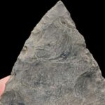 9000 illik becərmədən sonra düyü istilik həddinə çatıb