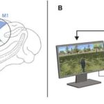 Webb-in Kiçik Qırmızı Nöqtələri, Böyük Partlayışdan qısa müddət sonra nəhəng qara dəliklərin necə əmələ gəldiyini ortaya qoya bilər