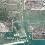 Həm bonobolar, həm də delfinlər “kənar insanlarla” gözlənilməz ittifaqlar qururlar