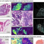 Daxili məkanda daha sürətli və ekoloji cəhətdən təmiz simsiz bağlantılar təmin etməyin yeni bir yolu