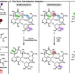 Qərbi Afrikanın tarixdən əvvəlki metal ustalarının izlərini izləmək