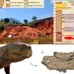 Kiçik lif zond eyni anda üç əsas biomarkeri izləyir və xəstəyə daha sürətli məlumat verir