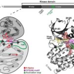 LHC çürümə anomaliyası Standart Modeldə mümkün çatlamağı aşkar edir