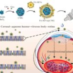 Vaxtından əvvəl və kiçik doğuşlar ömür boyu öyrənmə problemləri ilə əlaqələndirilir