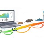 Yalnız maqnit hesab edilən materialda superkeçiricilik aktivləşdirilib