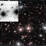 Bu protein xərçəng hüceyrələrinin müalicədən sağ çıxmasına kömək edir və yeni müalicələrə işarə edir