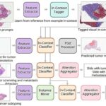 Təkamülə keçid: Qamış qurbağaları sürətlə uyğunlaşır