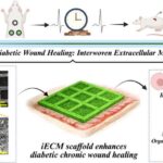 Kvant modeli tək elektronların silikon çiplərinin içərisində necə zərər verdiyini izah edir
