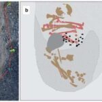 Pivə tullantıları günəşdən qoruyucu maddəyə çevrilə bilər, çünki işlənmiş şerbetçiotu vəd edən UB qoruma göstərir