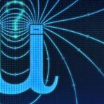 Quşlarda cinsi əlaqə və valideyn davranışları demoqrafik göstəricilərdən asılıdır, əksinə deyil