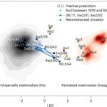 İspaniyada tapılan Roma fincanı, əsgərin Hadrian divarında keçirdiyi vaxtı təmsil edən bir xatirə əşyası ola bilər.