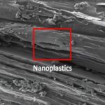 Süni intellekt aləti bahalı laboratoriya testlərindən əvvəl yeni dərman molekullarının necə hərəkət etdiyini proqnozlaşdırır