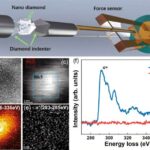 Uqandanın Python Mağarası, Marburq virusunun necə yayıla biləcəyini ortaya qoyur