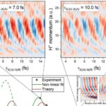 Bir protein hər iki tərəfi oynaya bilərmi? Stard7 müxtəlif modellərdə yoğun bağırsaq xərçəngini necə dəyişdirir
