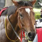 Artemis II kosmik gəmisinin Aya uçan astronavtları Yer kürəsinin parlaq mavi gözəlliyini geridə qoyarkən onu lentə alırlar.