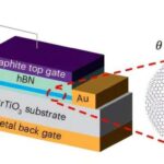 40 ildir itkin düşmüş Eduardın itkin düşmüş möhürü tapıldı