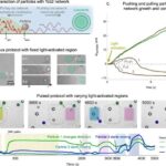 Boş sfera katalizatoru otaq temperaturunda 99% təmiz propan istehsalına imkan verir