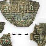 Süni intellekt təsnifatçısı quş qripi genomlarının məməlilərdə yayılma ehtimalının daha yüksək olduğunu göstərir