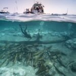 Qədim Roma tualetlərindən çıxarılan bu qabıqlı qalıqlar, gözləniləndən daha əvvəl aşkar edilmiş patogeni ifşa edir