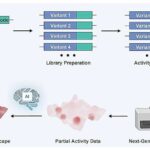 Blue Origin, Floridada ilk dəfə New Glenn gücləndiricisindən təkrar istifadə edir