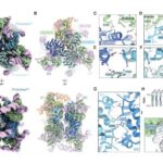 Planetlərarası qısa yol Marsa səyahətləri sürətləndirə bilər