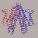 Bu qeyri-adi ikimərtəbəli evlər, Afrikanın kənd yerlərində uşaqların sağ qalmasını az adamın gözlədiyi şəkildə yenidən yazır