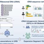 Mis, atomlar bərpa olunmazdan əvvəl bir anda 22 elektronu uzaqlaşdıraraq milyon dərəcəlik plazma zolaqlarına çevrildi