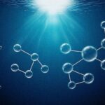 Muzey fosili göstərir ki, nəsli kəsilmiş nəhəng exidnalar bir vaxtlar Avstraliyada gəzib dolaşırdılar